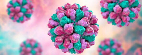 Das Norovirus hat Saison: Warum die Erreger so gefährlich sind